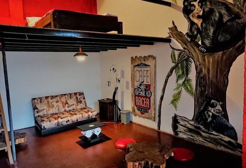 Hostal Cq Candelaria   Hostel