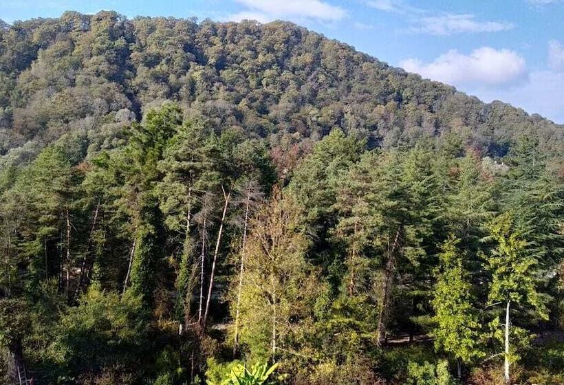 Hostel Villa Macesta