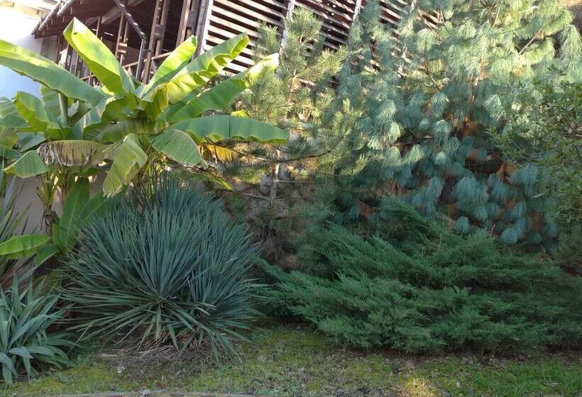 Hostel Villa Macesta