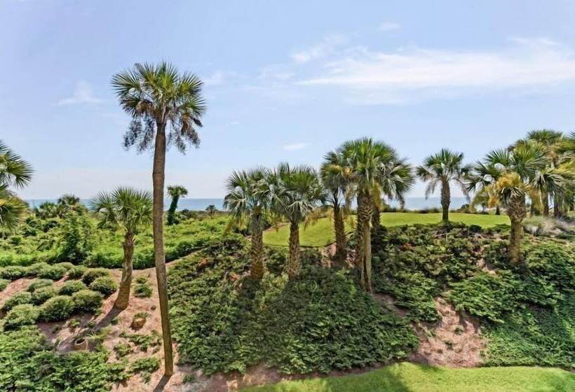 فندق 1362 Shipwatch