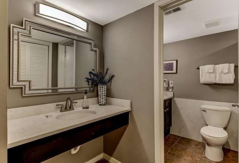 فندق 1362 Shipwatch