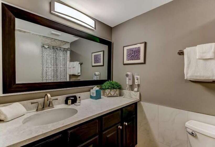 فندق 1362 Shipwatch