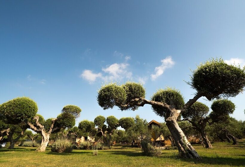 酒店 Agrikies Country Retreat