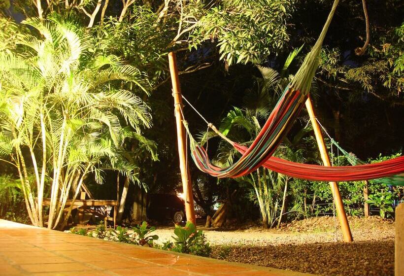 فندق Aloha Palomino