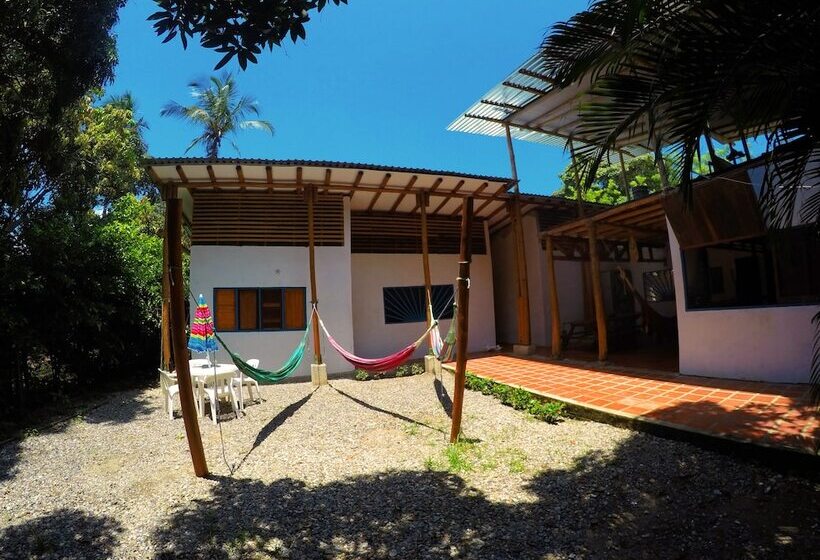 فندق Aloha Palomino