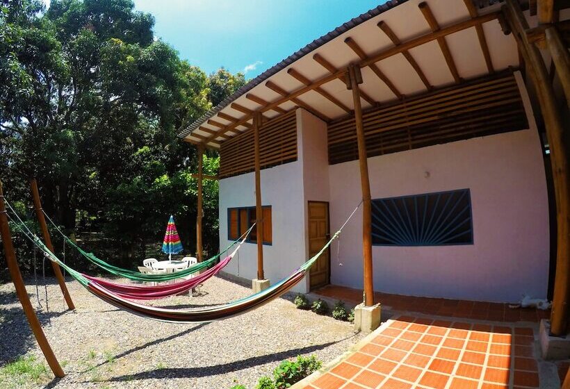 فندق Aloha Palomino