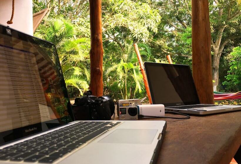 فندق Aloha Palomino