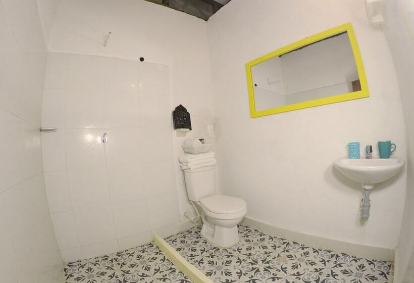 فندق Aloha Palomino