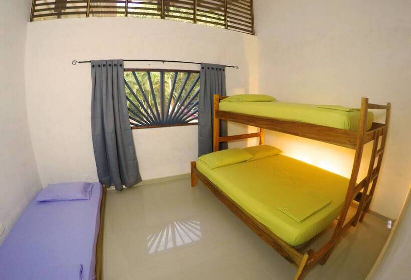 فندق Aloha Palomino