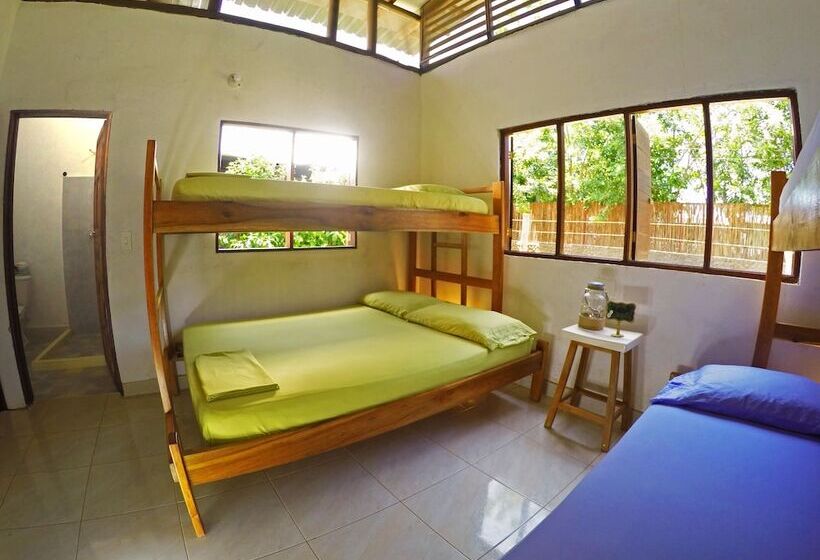 فندق Aloha Palomino