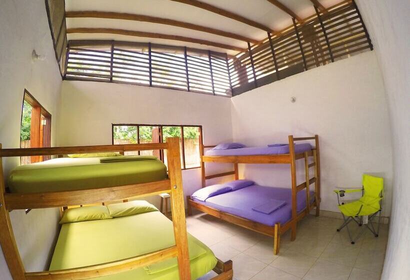 فندق Aloha Palomino