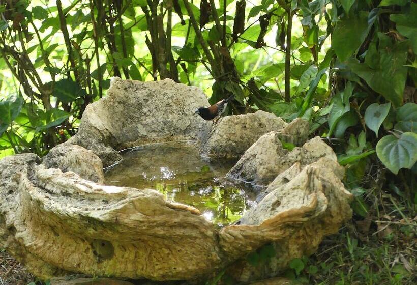 فندق Amani Forest Camp Emau Hill