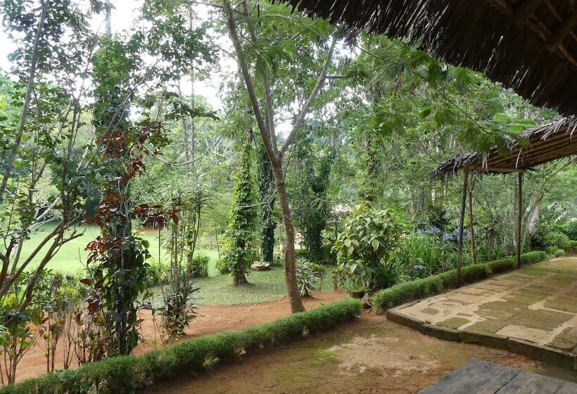 ホテル Amani Forest Camp Emau Hill