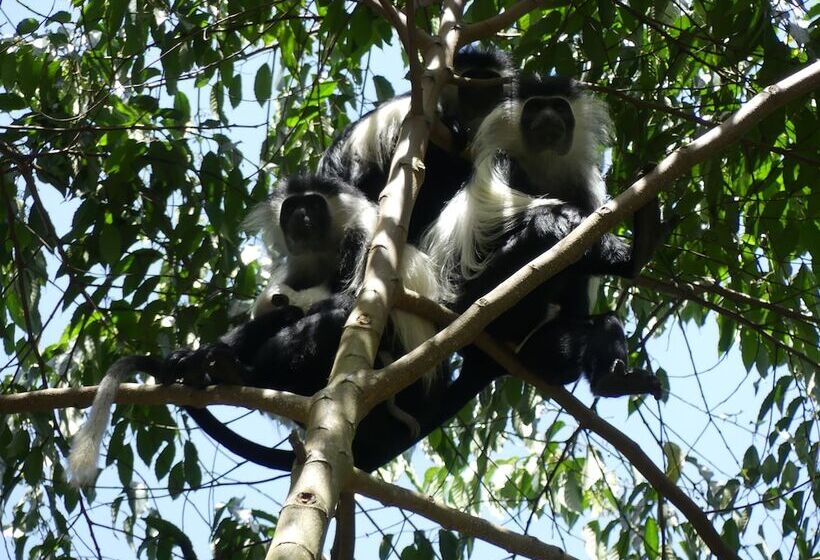 فندق Amani Forest Camp Emau Hill