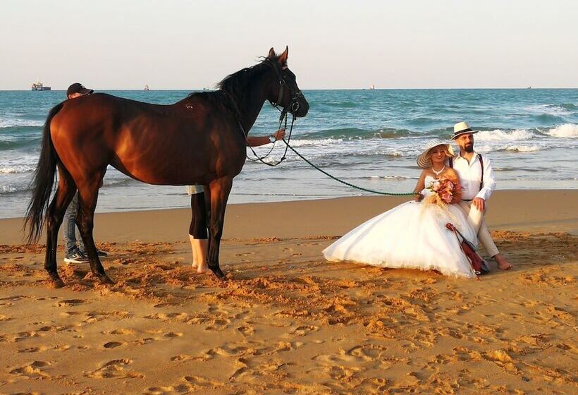 ホテル Atlitur Gumusdere Beach Camp