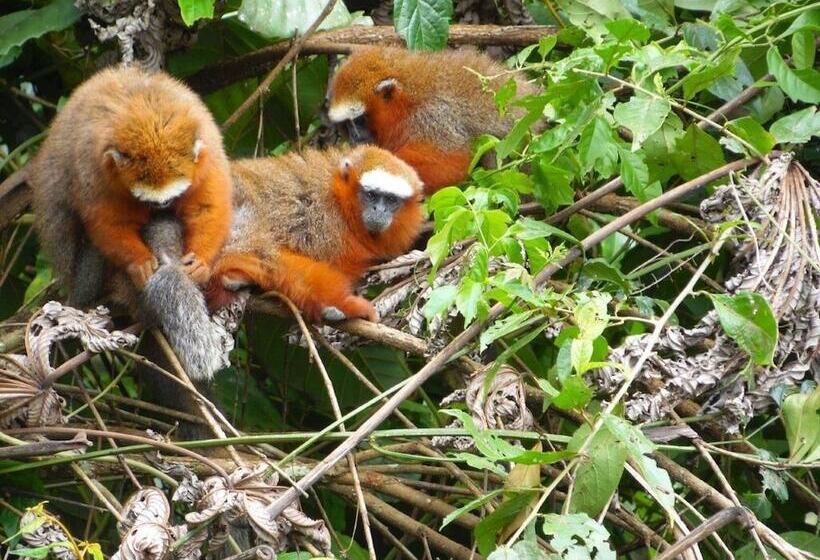 هتل Apu Napo Ecolodge