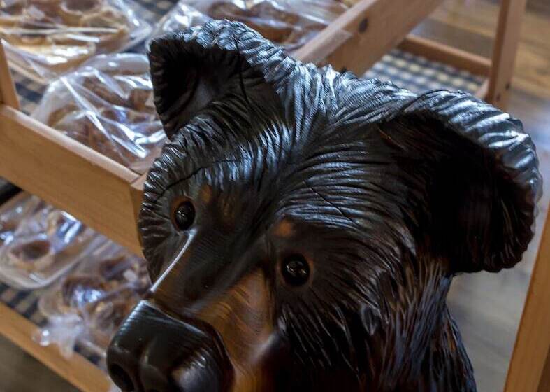 فندق Bear Tracks Inn