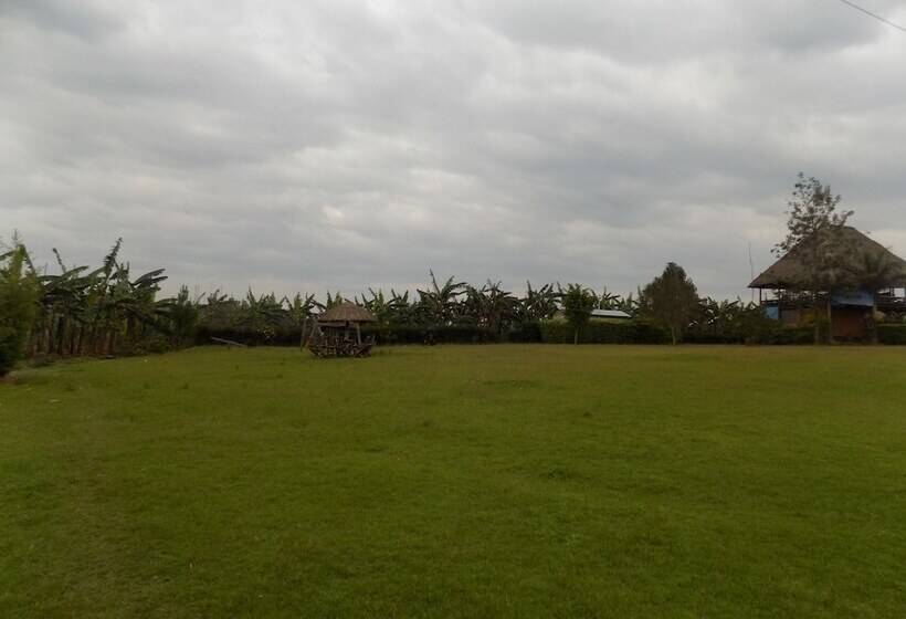 هتل Bettina Resort