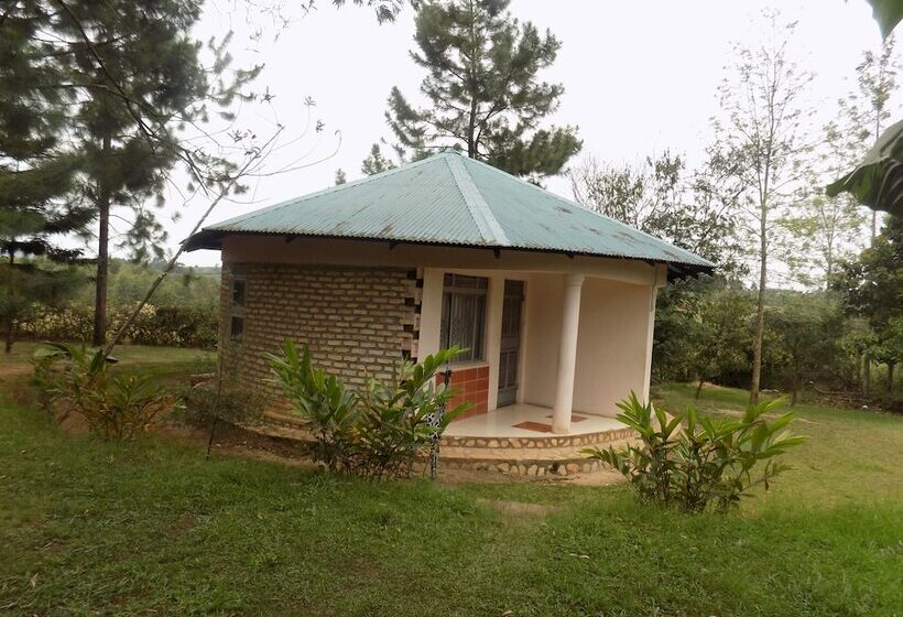 هتل Bettina Resort