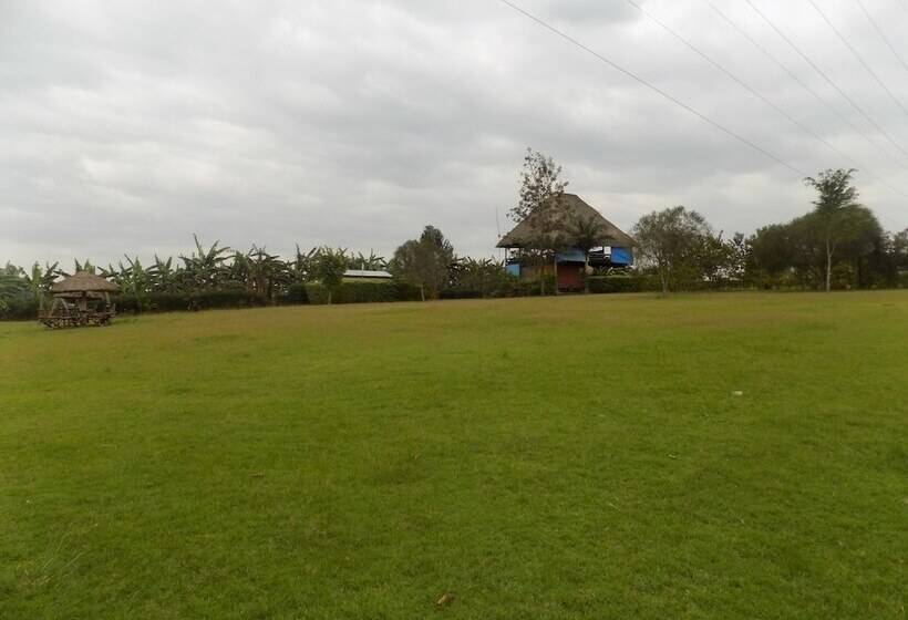 هتل Bettina Resort