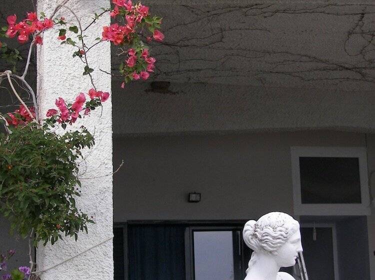 ホテル Blue Dreams