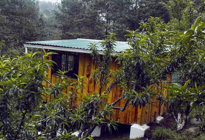 酒店 Cabañas Alla Arriba