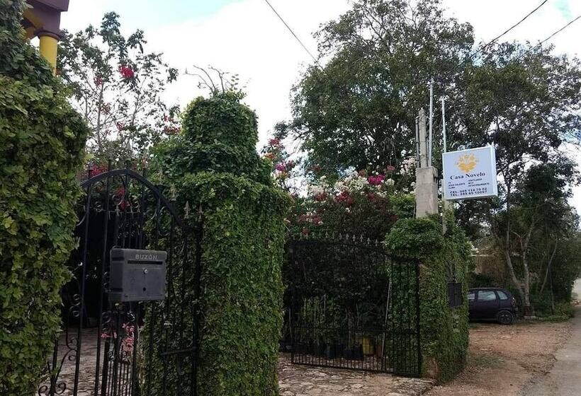 Отель Casa Novelo