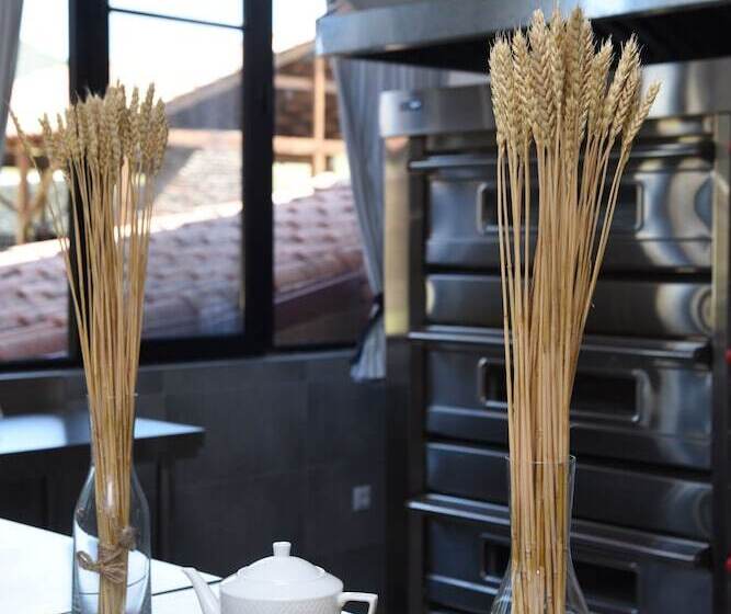 هتل Chateau Khashmi