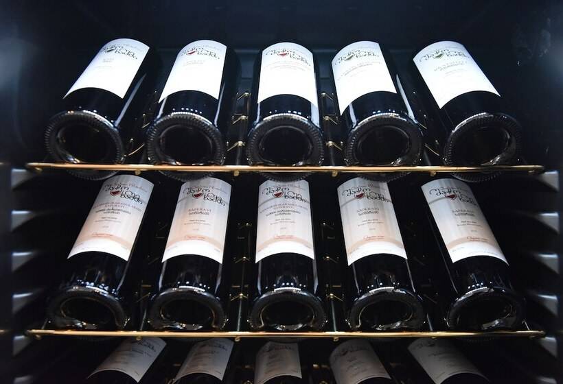 هتل Chateau Khashmi