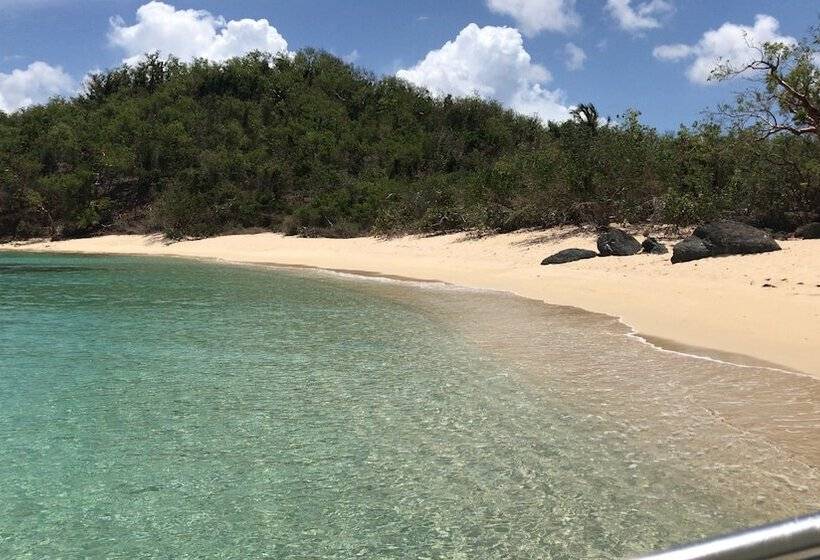 ホテル Culebra Ocean View