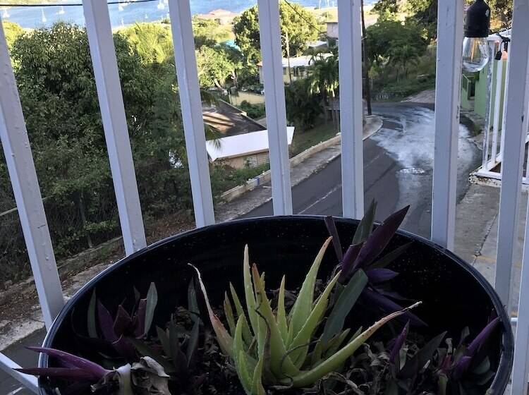 ホテル Culebra Ocean View