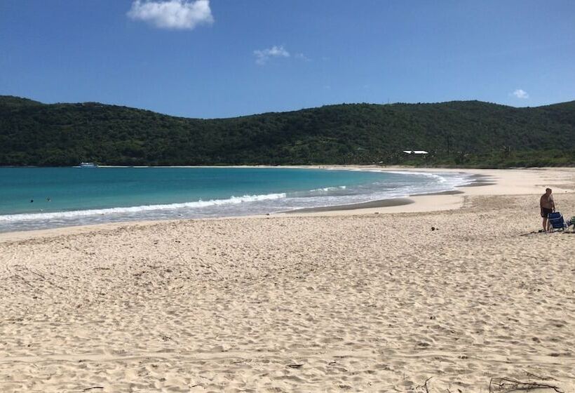 ホテル Culebra Ocean View