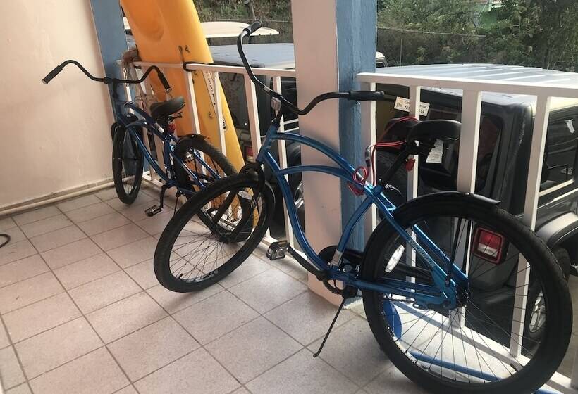 ホテル Culebra Ocean View