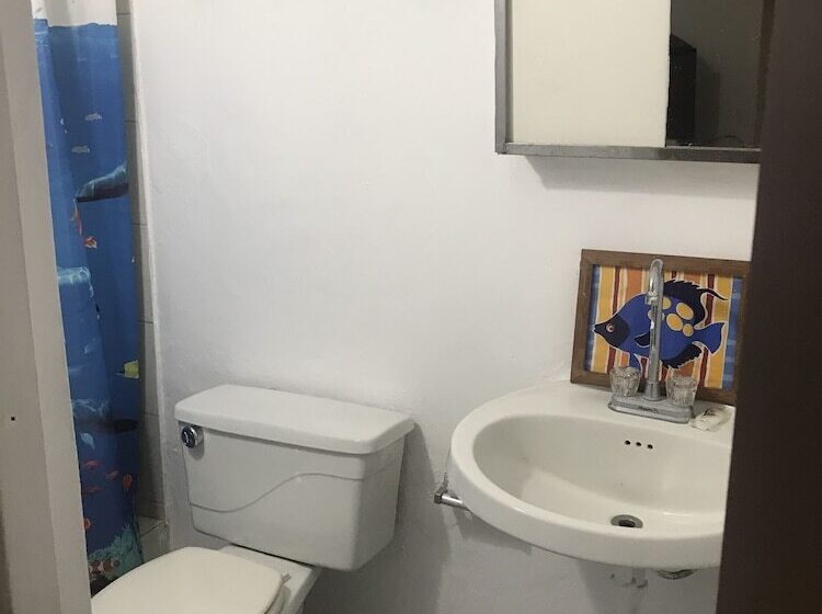 ホテル Culebra Ocean View