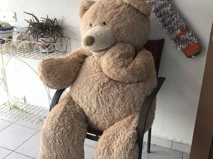 ホテル Culebra Ocean View