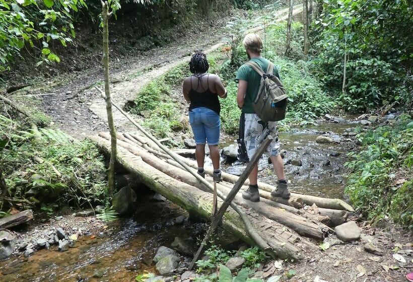 Отель Desarrollo Biodiverso