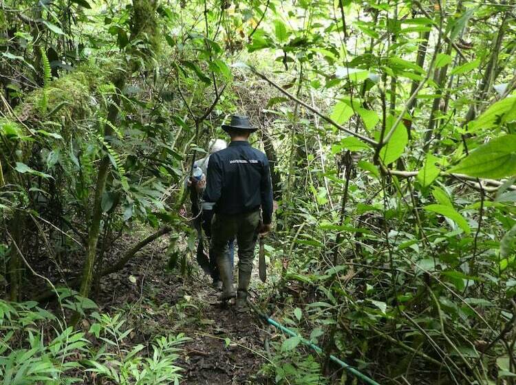 Отель Desarrollo Biodiverso