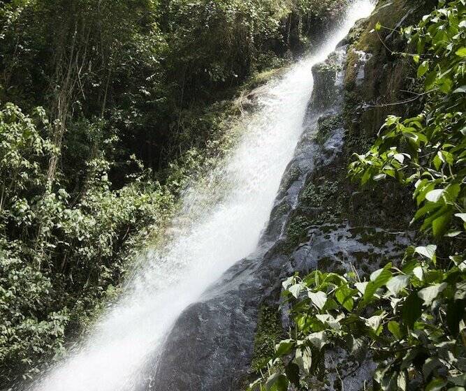 Отель Desarrollo Biodiverso