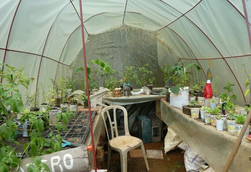 Отель Desarrollo Biodiverso