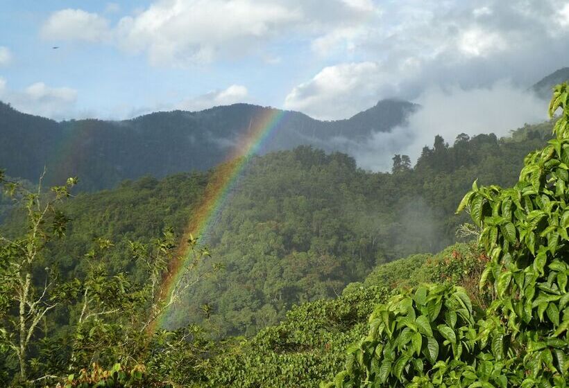 Отель Desarrollo Biodiverso