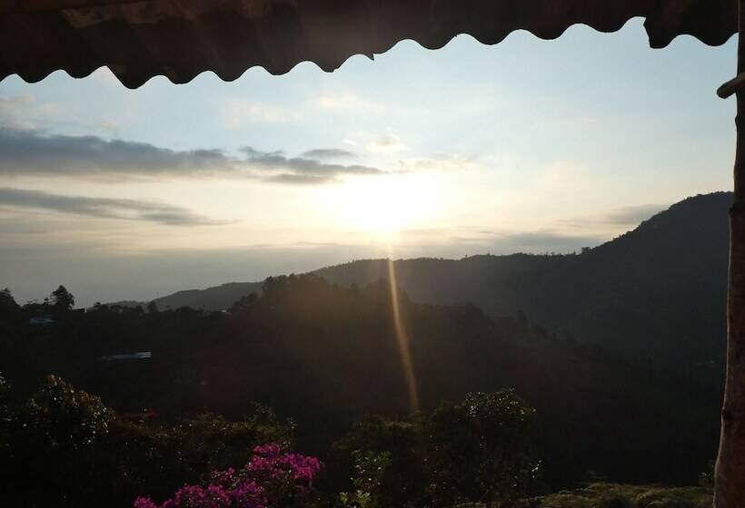 Отель Desarrollo Biodiverso