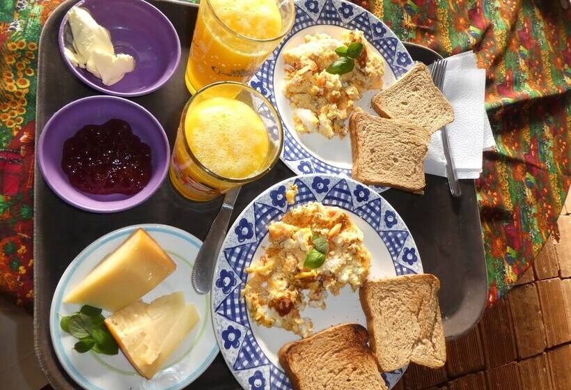 Отель Desarrollo Biodiverso