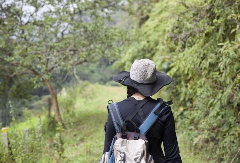 Отель Desarrollo Biodiverso