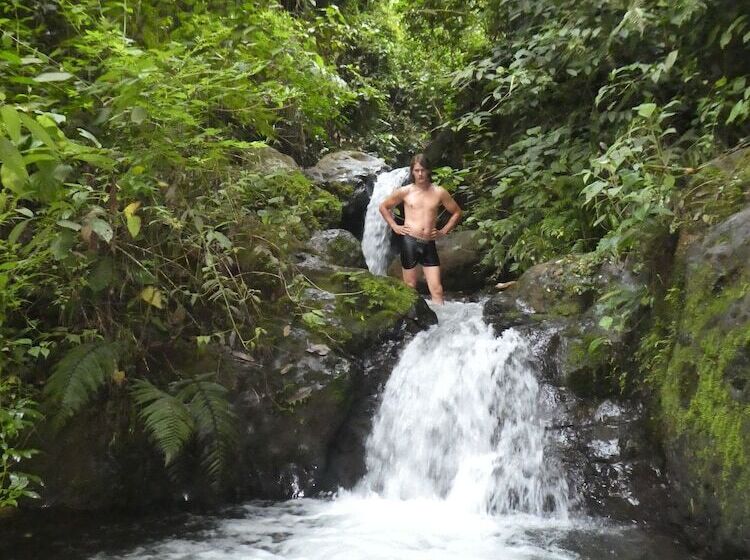 Отель Desarrollo Biodiverso