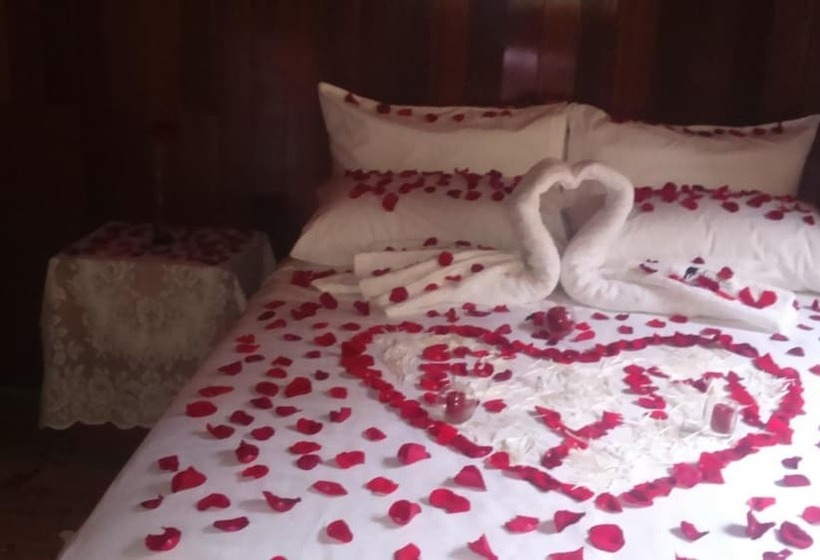 ホテル Ecolodge Don Felix