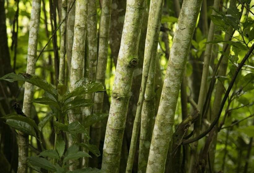 فندق Finca El Porvenir Magia En La Montaña