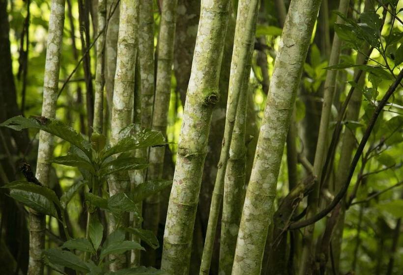 فندق Finca El Porvenir Magia En La Montaña