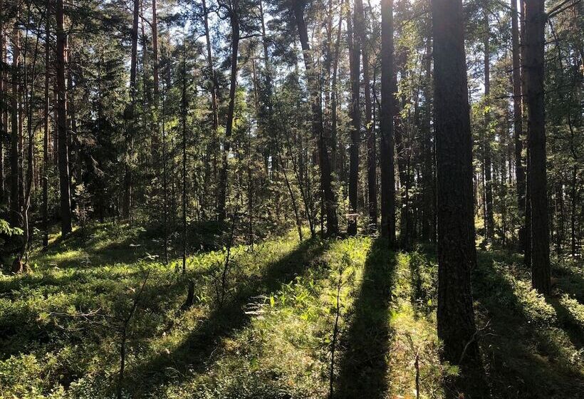 Отель Glamping Vezzika