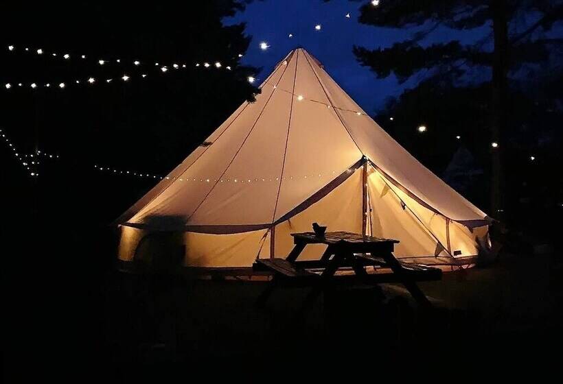 酒店 Glamping Vezzika