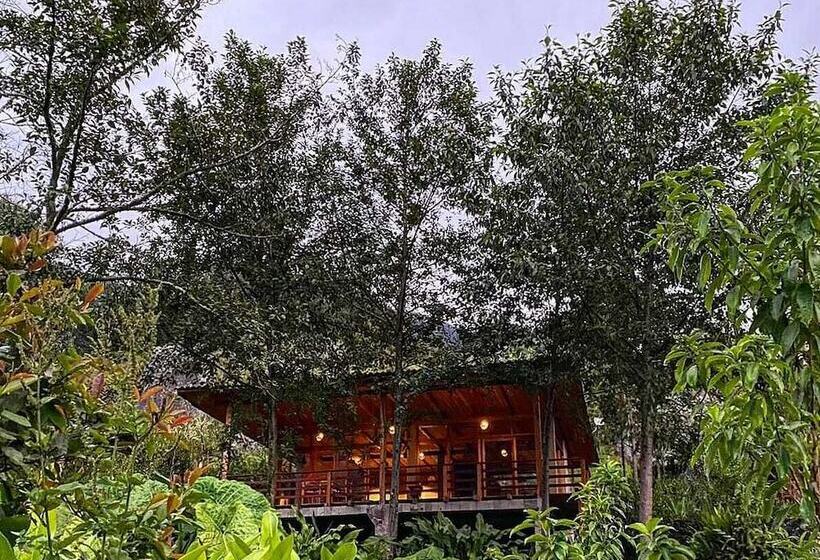 ホテル Goctamarca Lodge